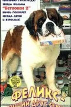 Постер к фильму Феликс — лучший друг семьи (1997)