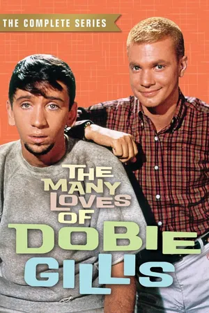 Постер к сериалу Успех Доби Гиллис (1959 - 1963)