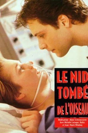 Постер к фильму Гнездо, покинутое птицей (1995)