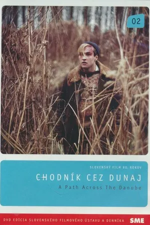 Постер к фильму Путь через Дунай (1989)