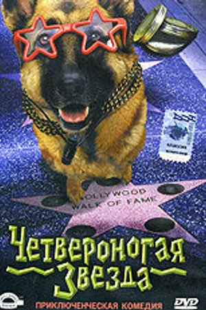 Постер к фильму Четвероногая звезда (2002)