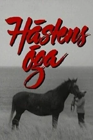 Постер к сериалу Глаза лошади (1987)