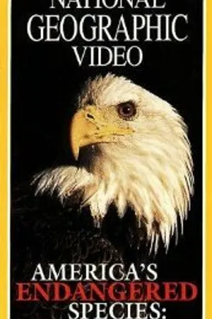 Постер к фильму America's Endangered Species: Don't Say Good-bye (1998)
