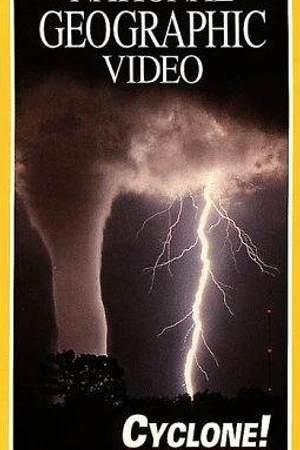 Постер к фильму Cyclone! (1995)