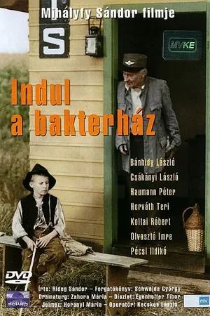 Постер к фильму Шлагбаум поднят, станция отправляется (1980)