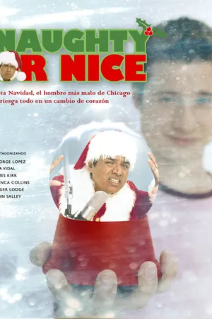 Постер к фильму Исправление неисправимого (2004)