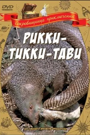 Постер к фильму Рикки-Тикки-Тави (1975)