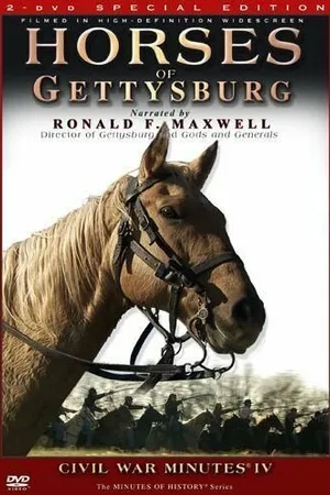 Постер к фильму Horses of Gettysburg (2006)