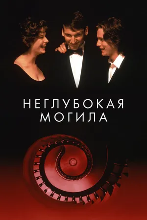 Постер к фильму Неглубокая могила (1994)