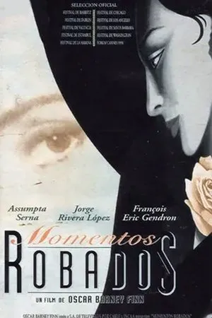 Постер к фильму Украденные моменты (1997)