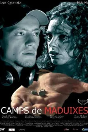 Постер к фильму Земляничные поля (2005)