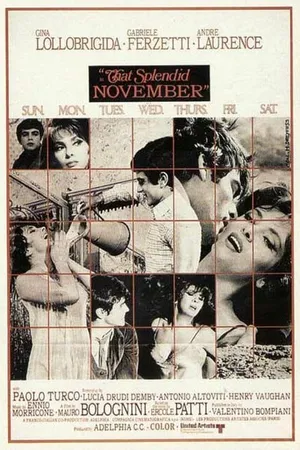 Постер к фильму Прекрасный ноябрь (1969)
