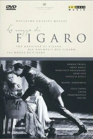 Постер к фильму Женитьба Фигаро (1999)