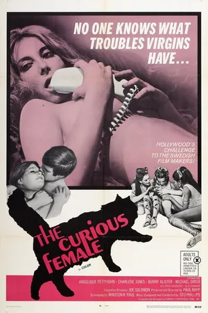 Постер к фильму Любопытные женщины (1970)