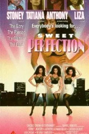 Постер к фильму The Perfect Model (1988)