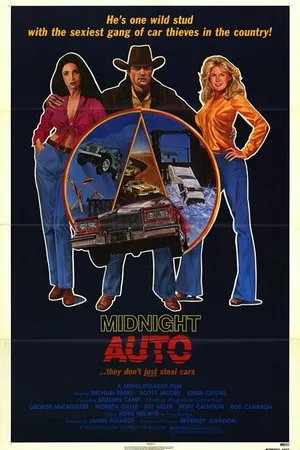 Постер к фильму Любовь и ночной автосервис (1977)