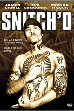 Постер к фильму Снитч (2003)