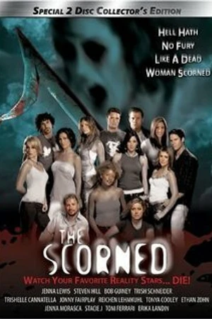 Постер к фильму The Scorned (2005)