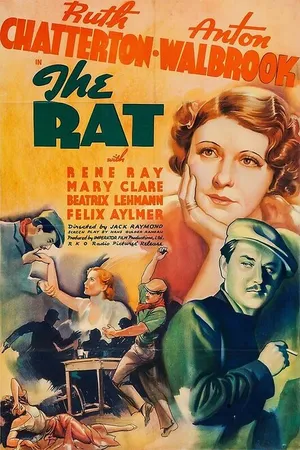 Постер к фильму Крыса (1937)