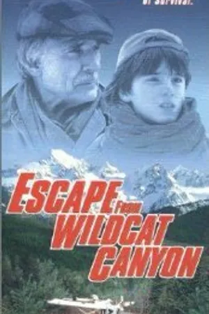 Постер к фильму Побег из Уайлдкэт-Каньон (1998)