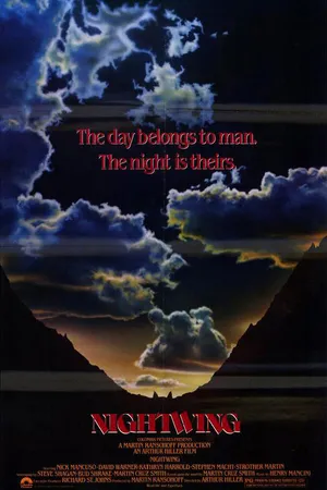 Постер к фильму Ночное крыло (1979)