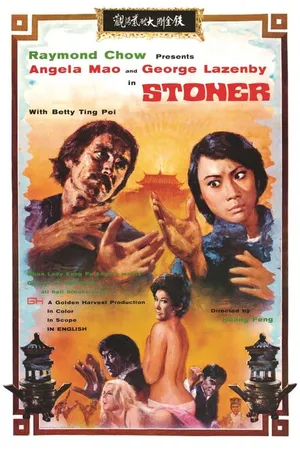 Постер к фильму Гонконгский наёмник (1974)