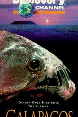 Постер к фильму Galapagos: Beyond Darwin (1996)