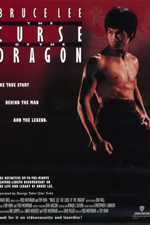 Постер к фильму Проклятье дракона (1993)