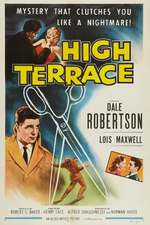 Постер к фильму High Terrace (1956)