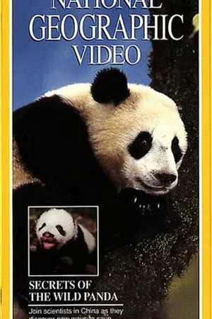 Постер к фильму Secrets of the Wild Panda (1995)