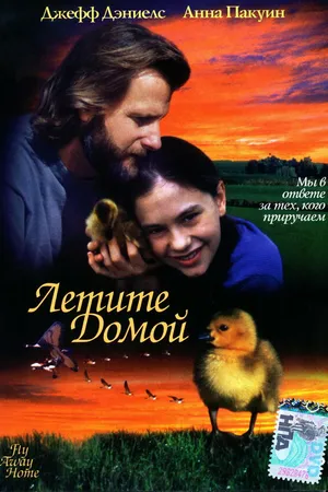 Постер к фильму Летите домой (1996)