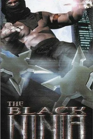 Постер к фильму The Black Ninja (2003)