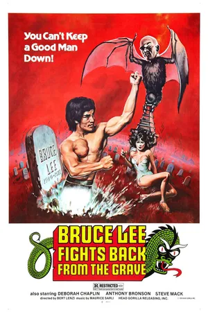 Постер к фильму Брюс Ли возвращается (1976)