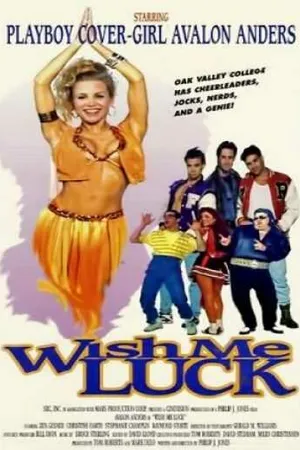 Постер к фильму Пожелай мне удачи (1995)