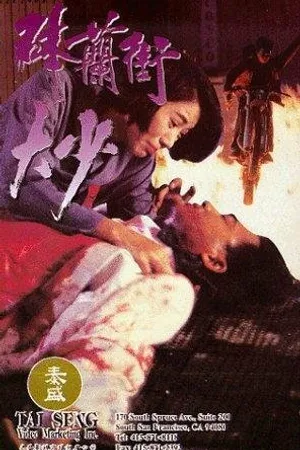 Постер к фильму Bat Lam Gai dai siu (1993)
