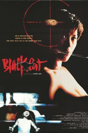 Постер к фильму Чёрная кошка (1991)