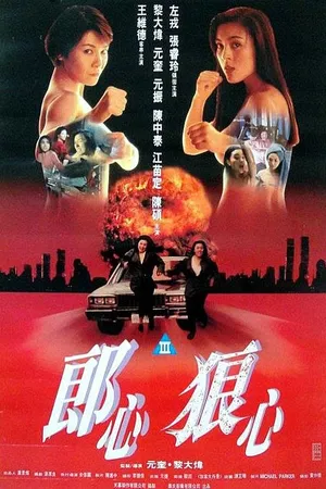 Постер к фильму Женщины в бегах (1993)