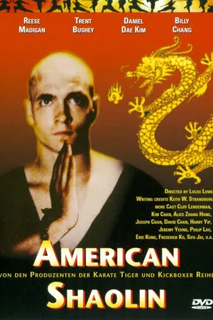Постер к фильму Американский Шаолинь (1991)