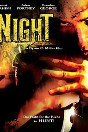 Постер к фильму Ночь (2006)