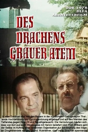 Постер к фильму Серое дыхание дракона (1979)
