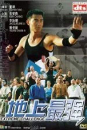 Постер к фильму Экстремальный вызов (2001)