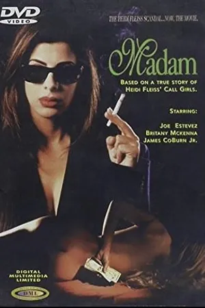 Постер к фильму Madame (1993)