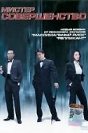 Постер к фильму Мистер совершенство (2003)