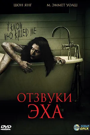 Постер к фильму Отзвуки эха (2008)