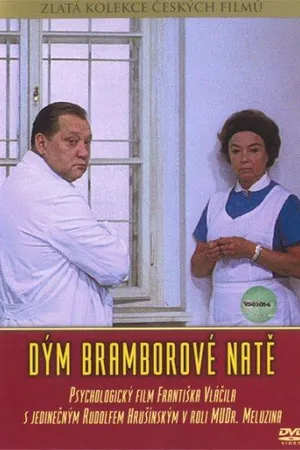 Постер к фильму Доктор Мелузин (1976)