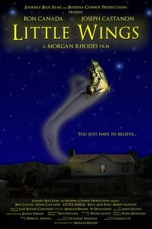 Постер к фильму Маленькие крылья (2007)