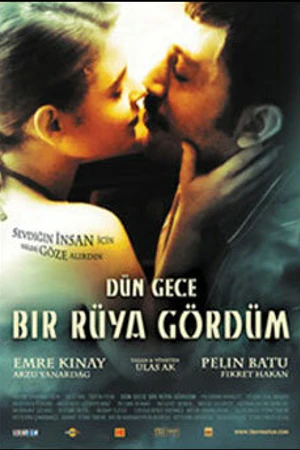 Постер к фильму Прошлой ночью я видел сон (2006)