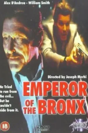 Постер к фильму Император Бронкса (1990)