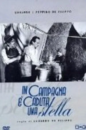 Постер к фильму В полях упала звезда (1939)