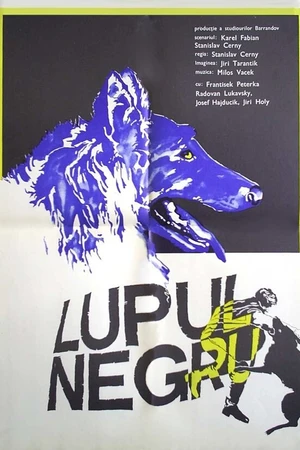 Постер к фильму Черный волк (1972)